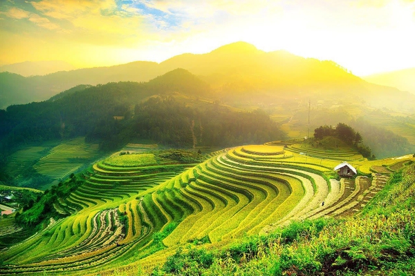 HÀ GIANG - CAO NGUYÊN ĐÁ ĐỒNG VĂN - DU GIÀ 3N4D 2024