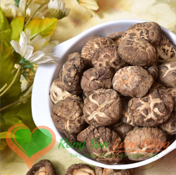 Công dụng ở nấm hương Nhật không phải nấm nào cũng có