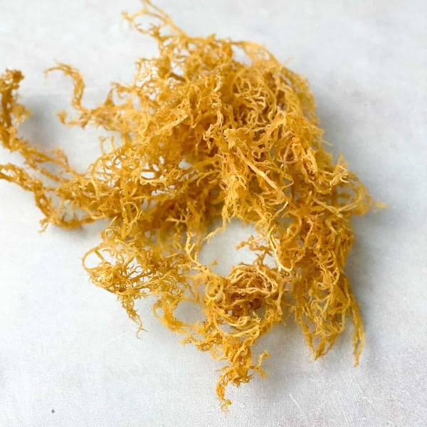 Is Irish sea moss essential? A smart B2B guide to cost-effective alternatives from Vietnam