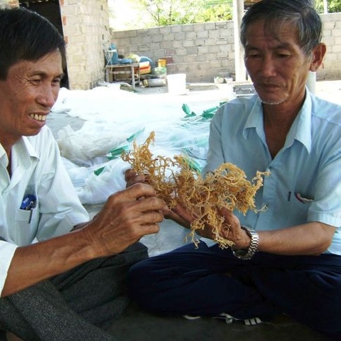 How top brands find the best sea moss supplier to boost their business