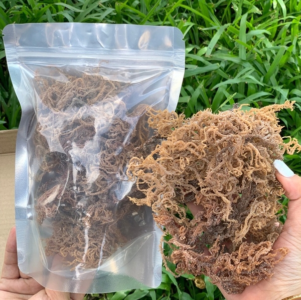 How enterprises source affordable, high-quality carrageenan grade seaweed