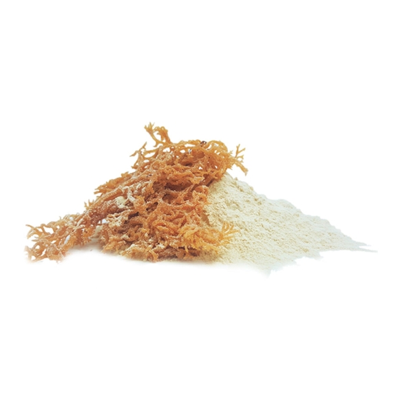 What should you know about carrageenan raw material suppliers?
