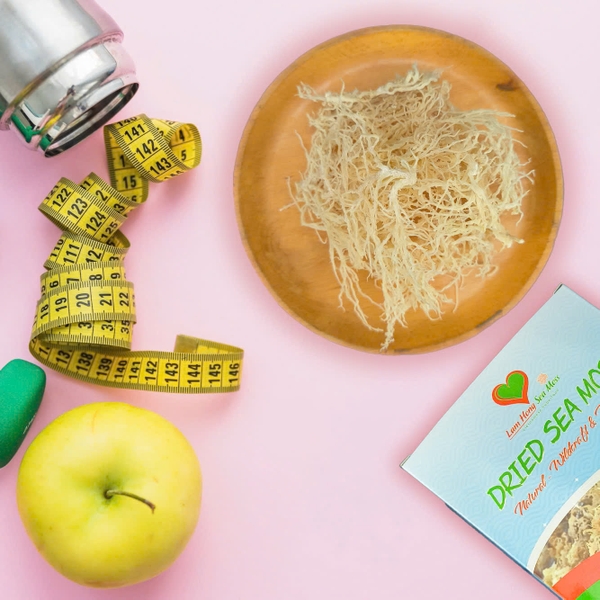 Discover the sea moss benefits for weight loss