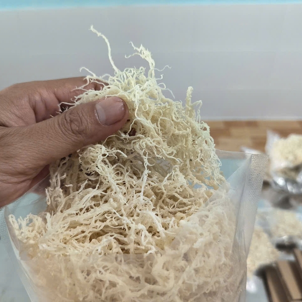 Wholesale sea moss: Your strategic advantage in sourcing quality sea moss at scale
