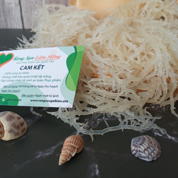Rong sụn bán ở đâu uy tín, chất lượng?