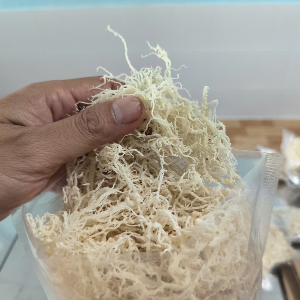 Nutritional benefits of organic sea moss: A sustainable solution for the modern world