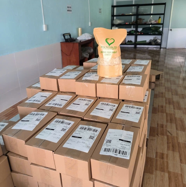 Risks in importing substandard sea moss: What every buyer should know about quality, safety, and carrageenan yield