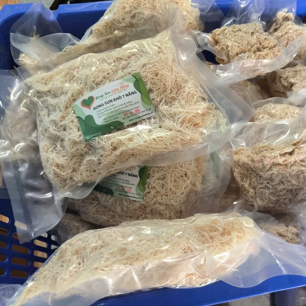 Top Spinosum seaweed suppliers from Southeast Asia: Why this region leads the market