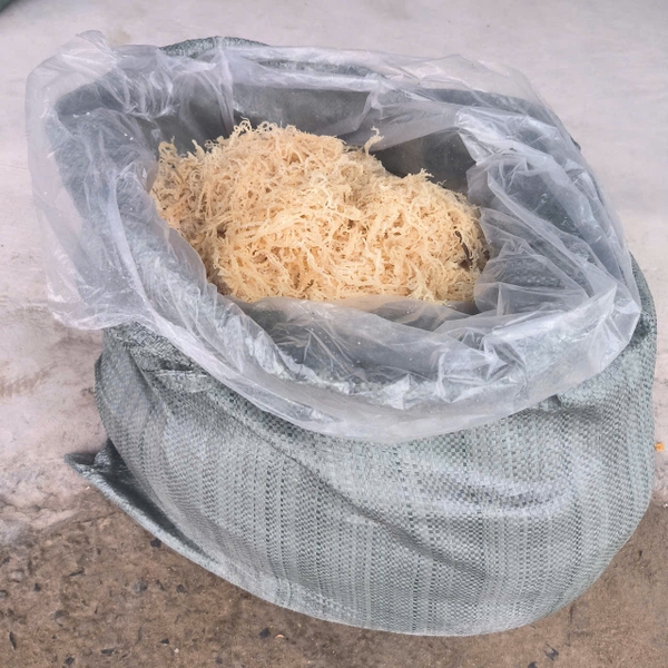 Cottonii seaweed for industry: meeting modern standards in functional ingredients