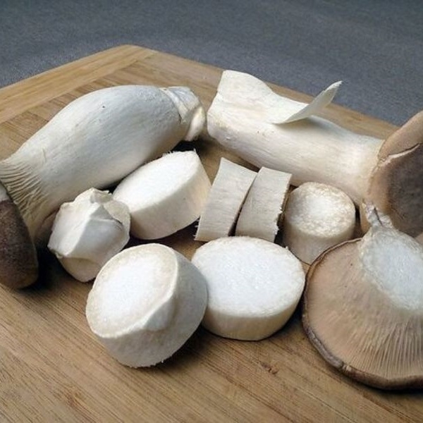 Nấm bào ngư Nhật - Sự khác biệt về kích thước giữa các loại nấm