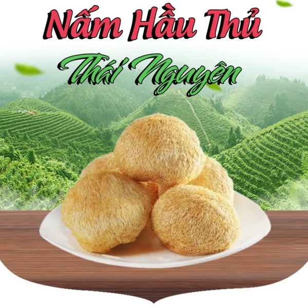 4 cách chế biến nấm Hầu Thủ đơn giản, ngon, bổ dưỡng