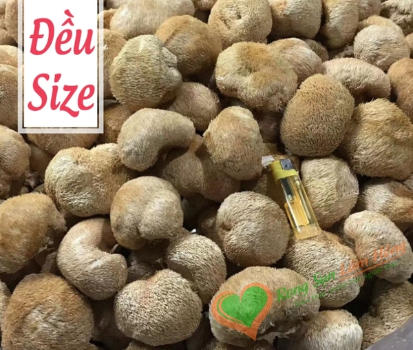 3 món ngon mỗi ngày cùng nấm Hầu Thủ