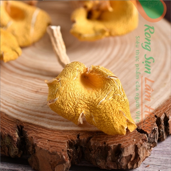 3 công dụng tuyệt vời của nấm hoàng kim