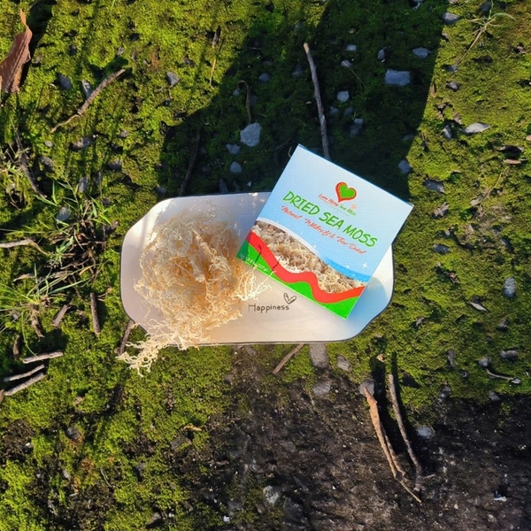 5 Delicious and Nutrient-Rich Sea Moss Dishes to Nourish Your Body