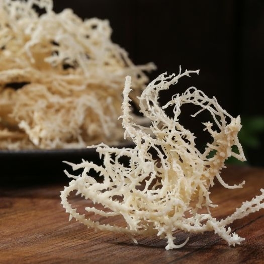 Rong sụn khô – Nguồn dinh dưỡng quý giá từ đại dương