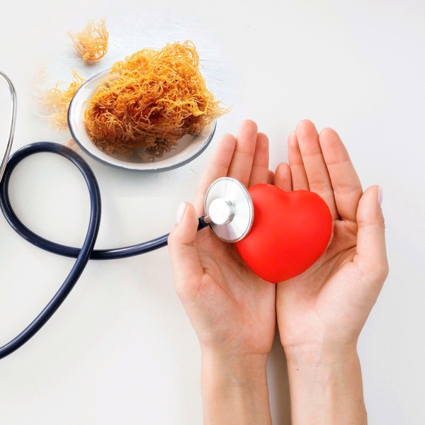 Promoting heart health in the elderly adults with sea moss