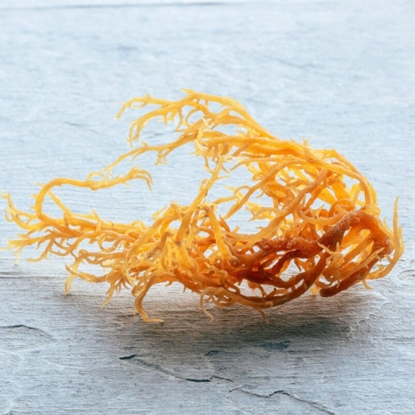 Choosing the right plant-based capsule material supplier:  A strategic advantage for vegan supplement brands