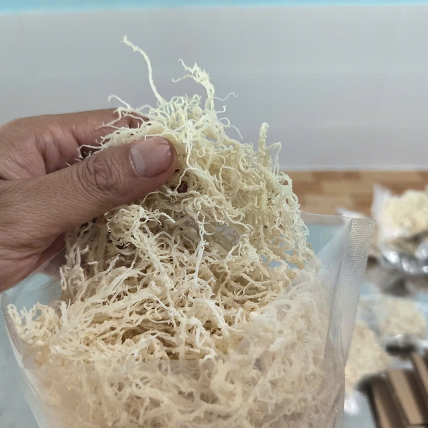 How to identify a trusted cottonii seaweed supplier in the global market