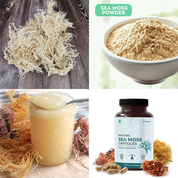 The Sea Moss Buyer's Guide: Finding the Finest Quality Sea Moss
