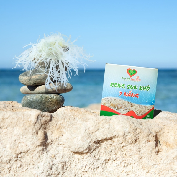 Unlock the Power of  the wildcrafted sea moss in beauty care