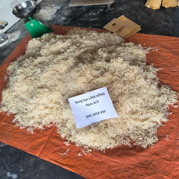 Rong sụn biển bao nhiêu calo? Sự thật thú vị mà bạn chưa biết