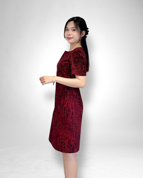 Đầm suông eo cổ thuyền cạn dk sắt, tay ngắn, túi