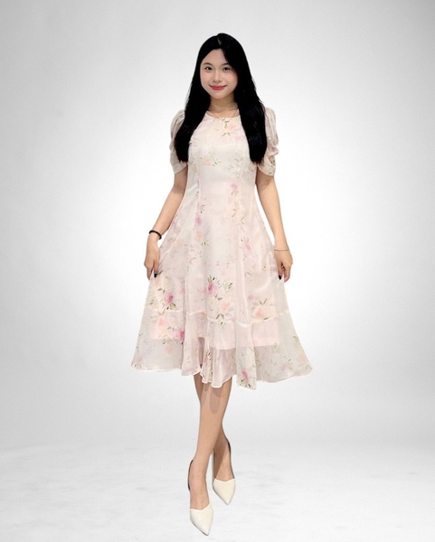 Đầm cổ tròn trước V sau, 6 mảnh tay ngắn dún, voan kem hoa hồng, 2 lớp