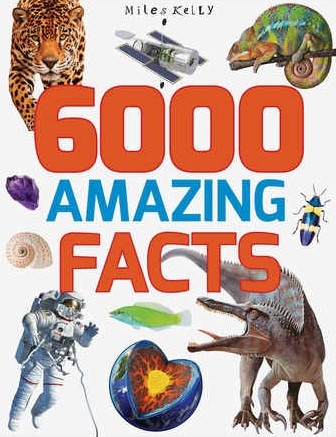 ubanpalza.bizwebvietnam.net