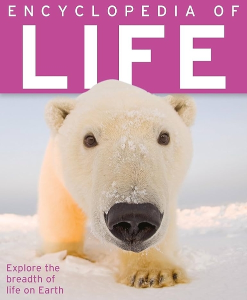 ubanpalza.bizwebvietnam.net