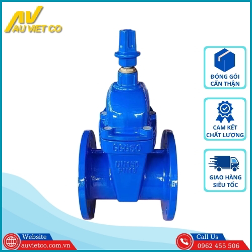 Van cổng ty chìm nắp chụp