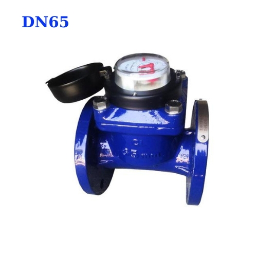Đồng Hồ Đo Nước Thải DN65- phi 73mm- 2 1/2 inch