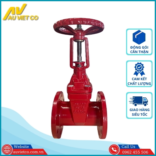 Van cổng gang ty nổi