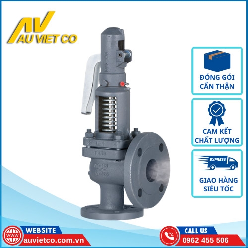 Van an toàn Trung Quốc | Nối ren, mặt bích