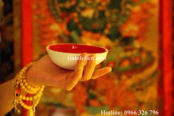 BÁT GABBRA ( BÁT SỌ NGƯỜI )