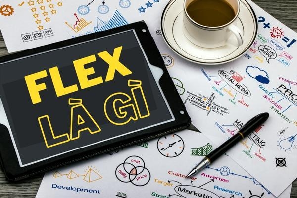 Flex là gì và tại sao nó lại trở thành HOT trend hiện tại?