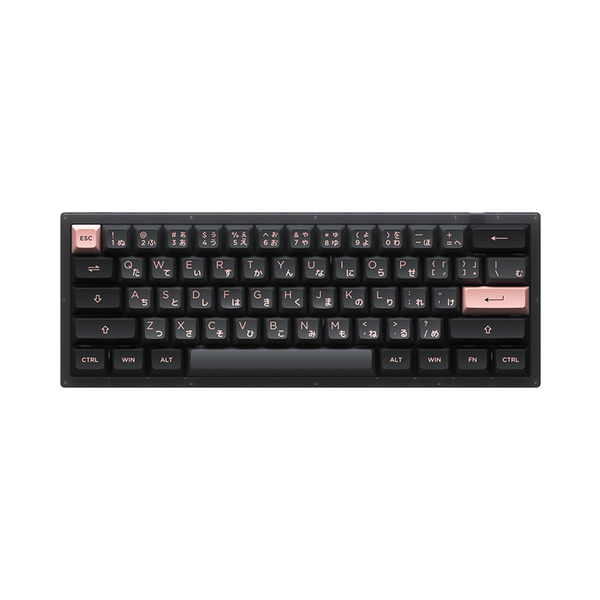 Bàn phím cơ AKKO ACR61 Black RGB Akko CS Jelly Black