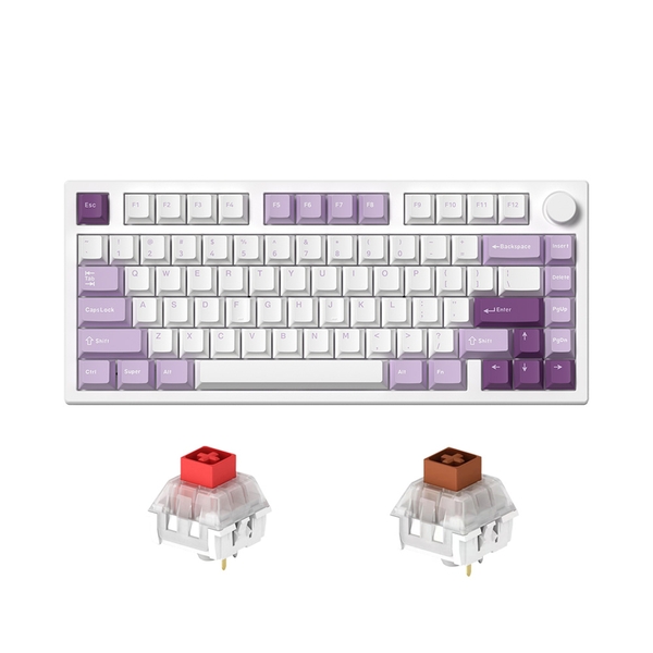 Bàn phím cơ không dây FL-Esports GP75 CPM Taro Purple 3 Mode Led RGB HotSwap Kailh Box Switch Red/Brown