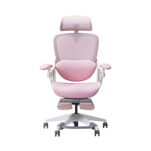 Ghế công thái học Epione Easy Chair Blossom