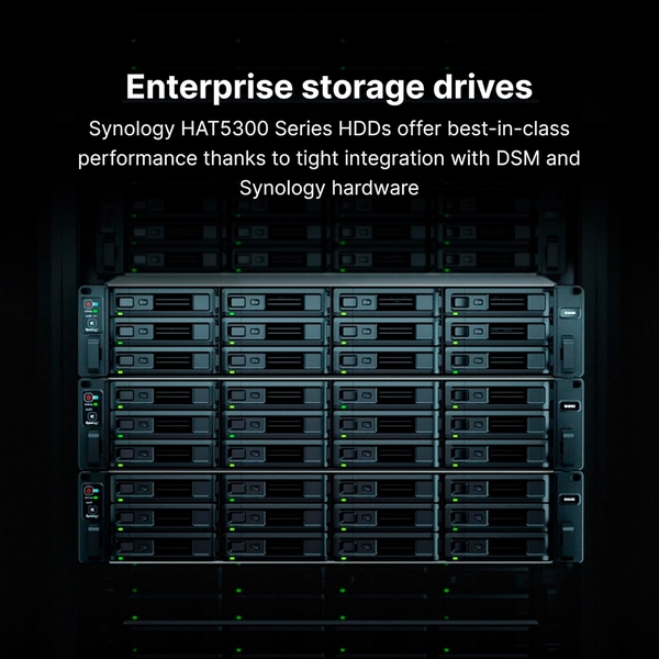 HDD Synology HAT5300 12TB 3.5 inch SATA 256MB Cache 7200RPM
