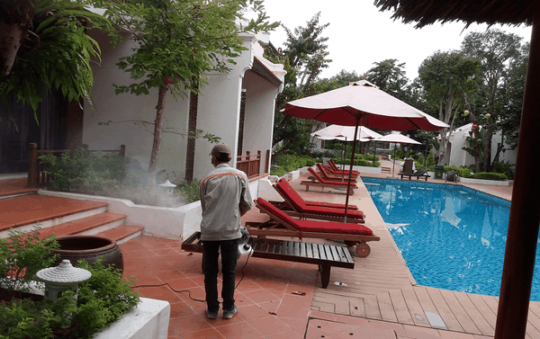 Phun thuốc ở resort