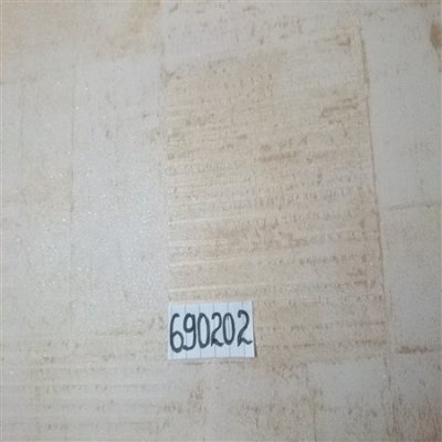 giay-dan-tuong-new-age