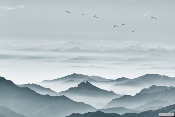 tranh-rn