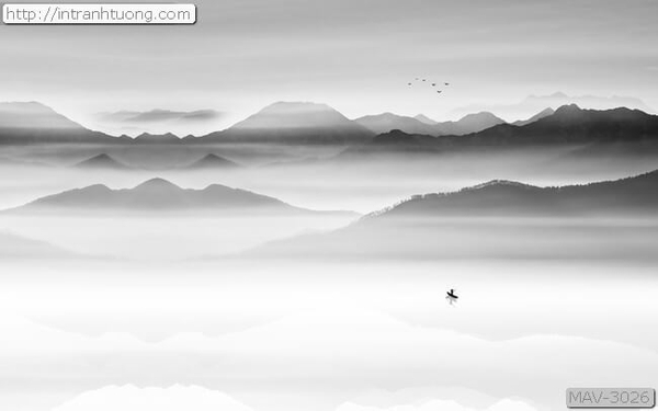 tranh-rn