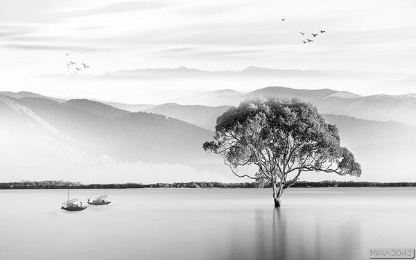 tranh-rn