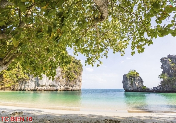 tranh-canh-bien