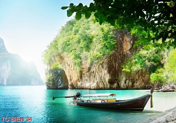 tranh-canh-bien