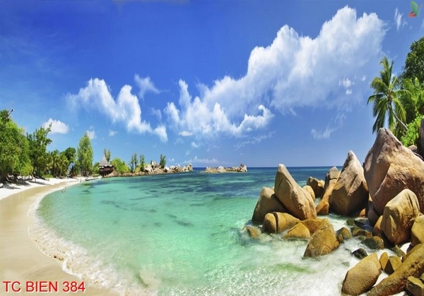 tranh-canh-bien