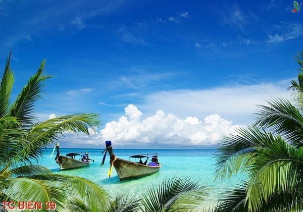 tranh-canh-bien