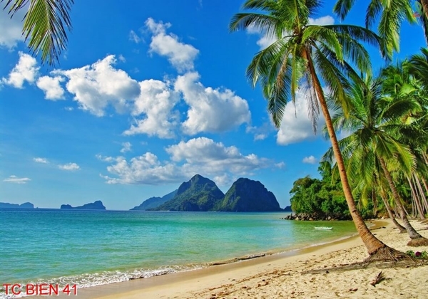 tranh-canh-bien