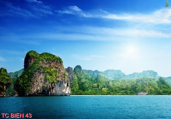 tranh-canh-bien